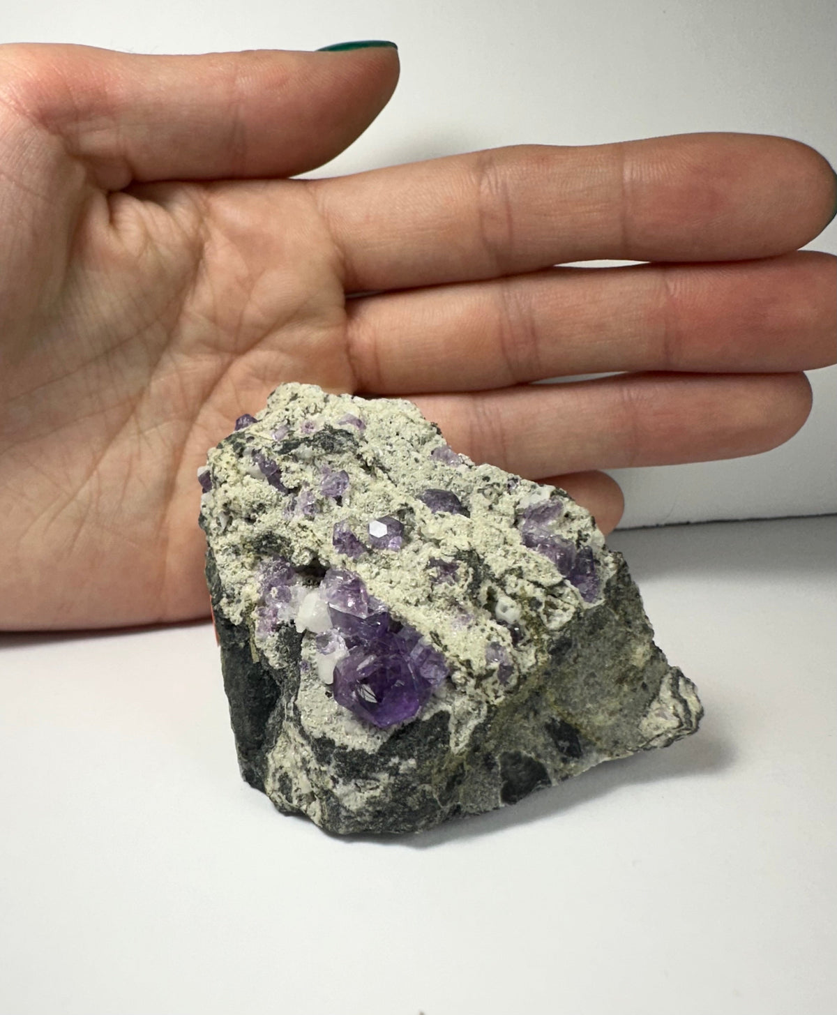 Chunky purple fluorite crystal clusters embedded in a gray and beige rock matrix, held next to a hand for size comparison against a white background.