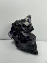 Cluster of purple dodecahedral fluorite crystals with transparent edges resting on a dark matrix against a neutral background