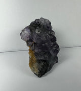 Purple dodecahedral fluorite crystals clustered on a dark matrix with yellowish calcite deposits at the base, shown against a plain white background.