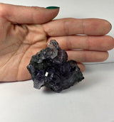 Hand holding a cluster of deep purple dodecahedral fluorite crystals with small white calcite formations, displayed against a plain white background.