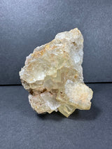 Yellow fluorite crystal cluster with transparent cubic formations and a rough, pale beige matrix background against a dark gray surface and backdrop.