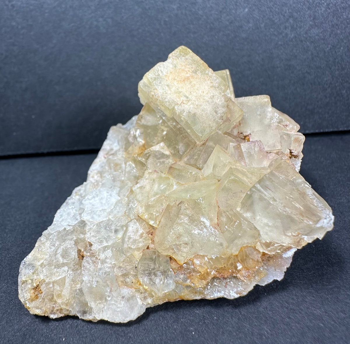 Cluster of translucent yellow fluorite crystals with cubic shapes on a rough, lighter-colored mineral base, displayed against a dark gray background.