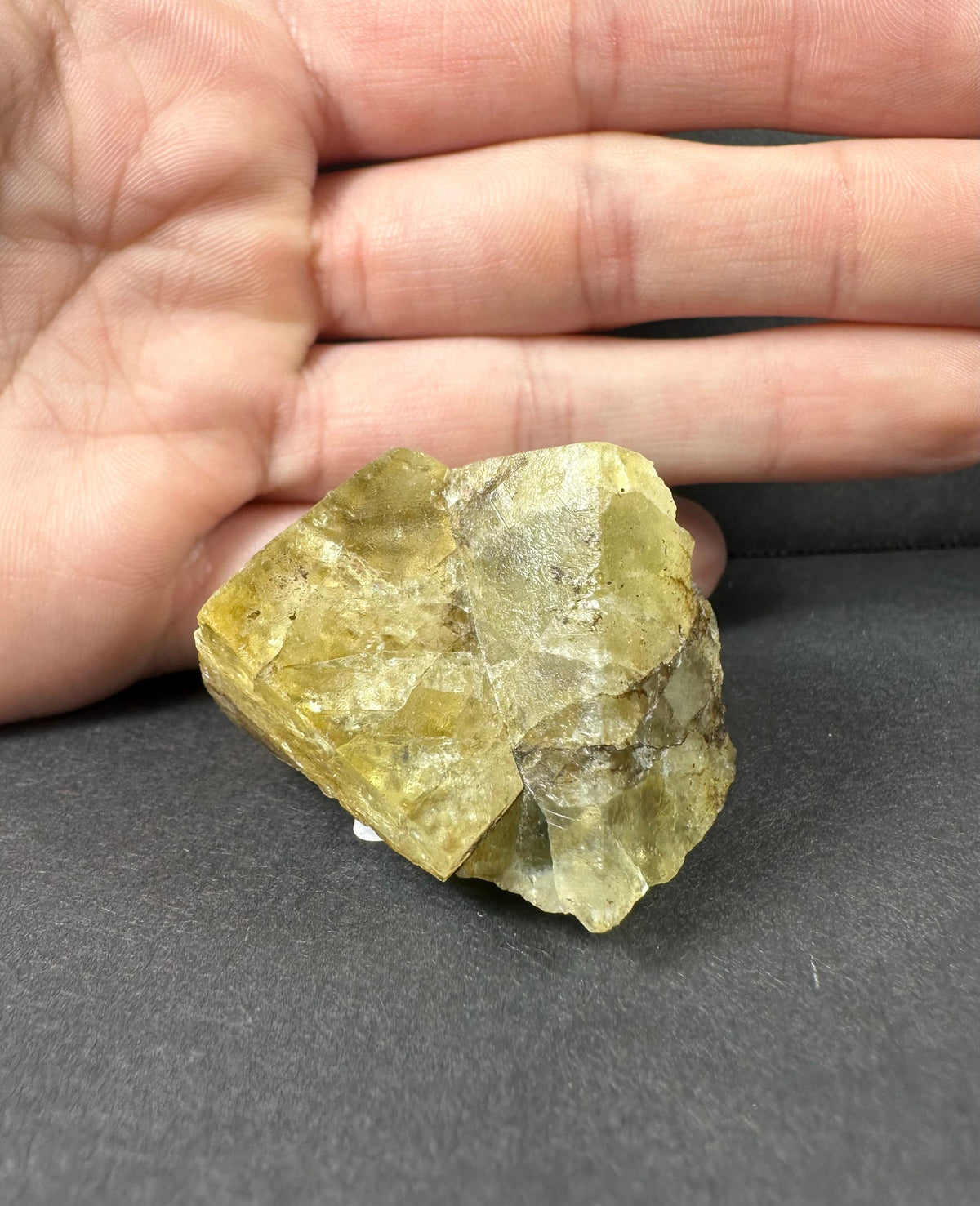 Yellow cubic fluorite crystal cluster with translucent geometric faces resting on a black surface, shown beside a hand for size comparison.