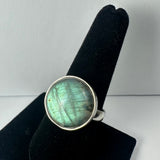 Round labradorite ring with iridescent blue-green and gray flashes set in a simple silver band, displayed on a black velvet finger stand.