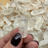 Clear, pointed quartz crystal held between fingers with dark purple nail polish, with many similar translucent quartz points in the background.