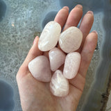 Hand holding five large pale pink tumbled stones with smooth, glossy surfaces against a gray and blue agate background with layered patterns.