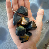 Hand holding six large polished tumbled stones with glossy black surfaces and golden brown streaks, shown against a grey-blue textured background.