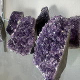 Cluster of deep purple amethyst druzy crystals with varied crystal sizes on rough gray base, displayed against a white wall and transparent shelf.