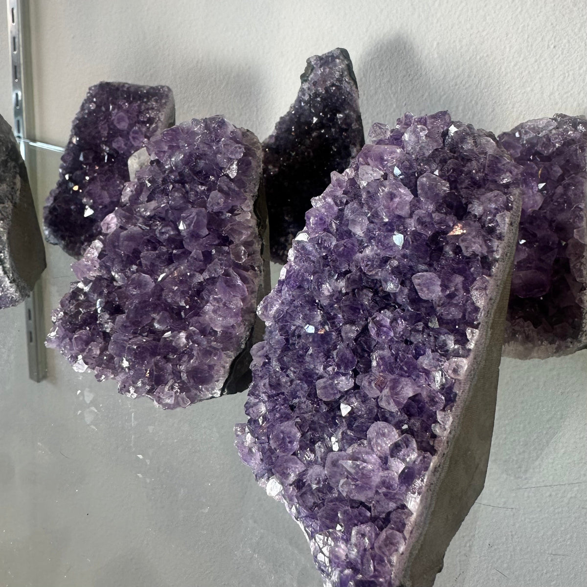 Cluster of deep purple amethyst druzy crystals with varied crystal sizes on rough gray base, displayed against a white wall and transparent shelf.