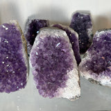 Close-up of several large amethyst crystal geodes with deep purple clusters and white outer edges, displayed upright against a light background.