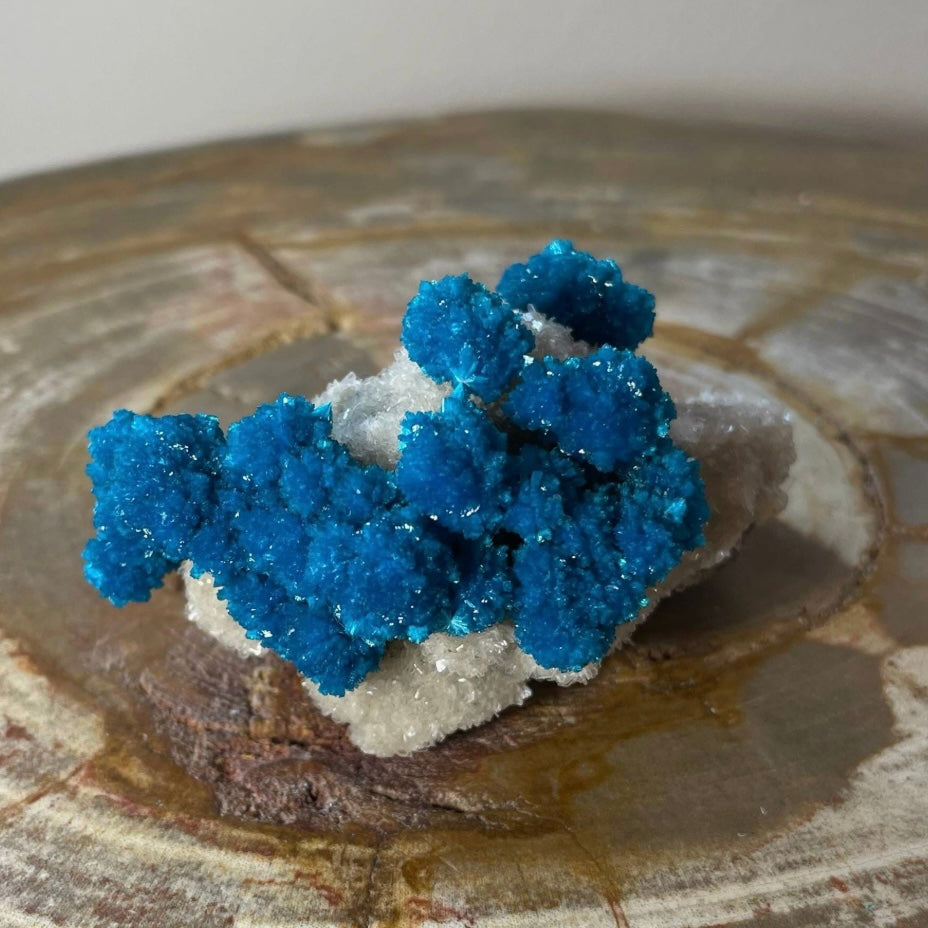 Cavansite with White Stilbite on Matrix Maharashtra, Pune, India by Rare Earth Gallery - product image 2 for Resin Society