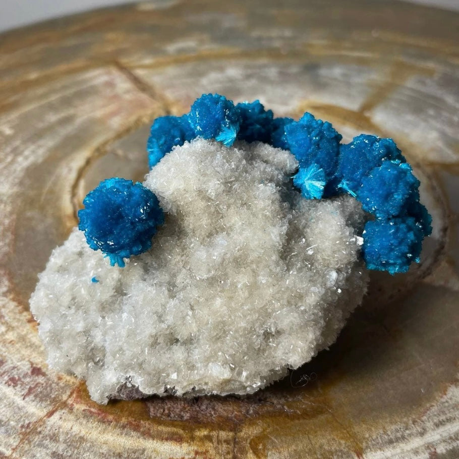 Cavansite with White Stilbite on Matrix Maharashtra, Pune, India by Rare Earth Gallery - product image 4 for Resin Society