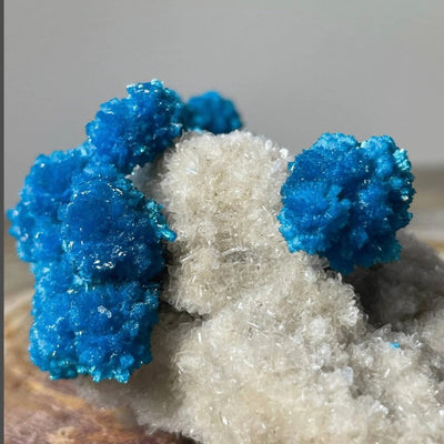 Cavansite with White Stilbite on Matrix Maharashtra, Pune, India by Rare Earth Gallery - product image 5 for Resin Society