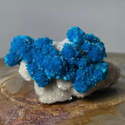 Cavansite with White Stilbite on Matrix Maharashtra, Pune, India by Rare Earth Gallery - main product image for Resin Society