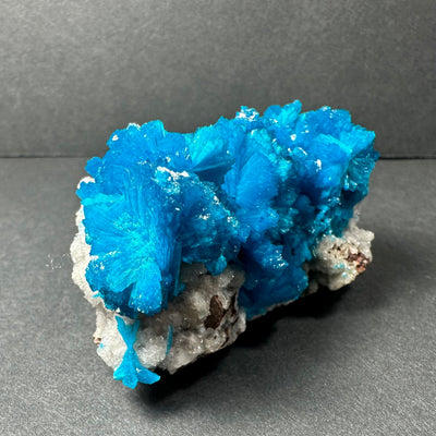 Cavansite on Matrix from Pune, Maharashtra, India by Rare Earth Gallery - product image 2 for Resin Society