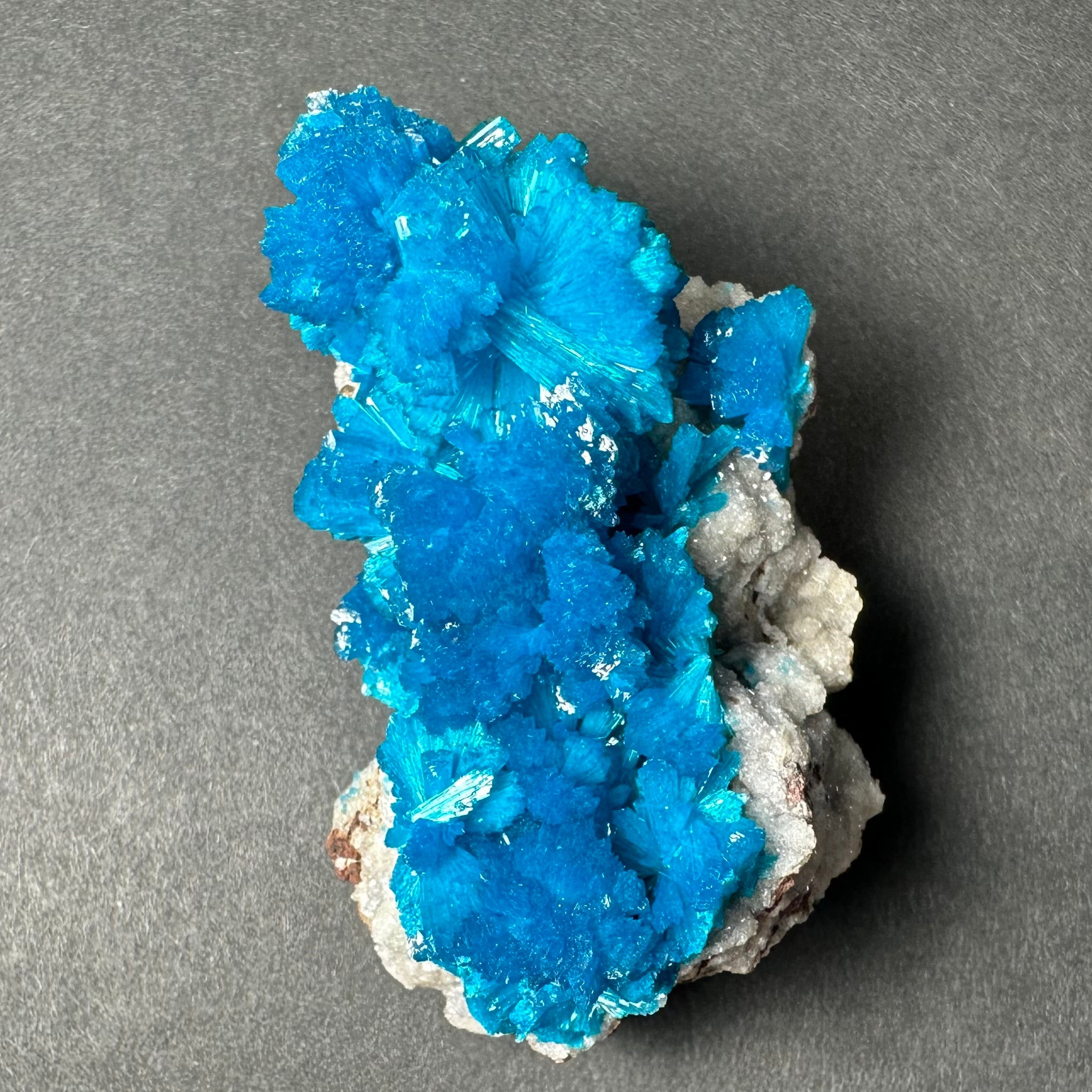 Cavansite on Matrix from Pune, Maharashtra, India by Rare Earth Gallery - product image 4 for Resin Society