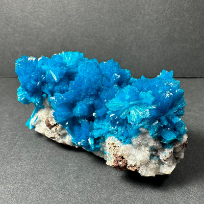Cavansite on Matrix from Pune, Maharashtra, India by Rare Earth Gallery - product image 6 for Resin Society