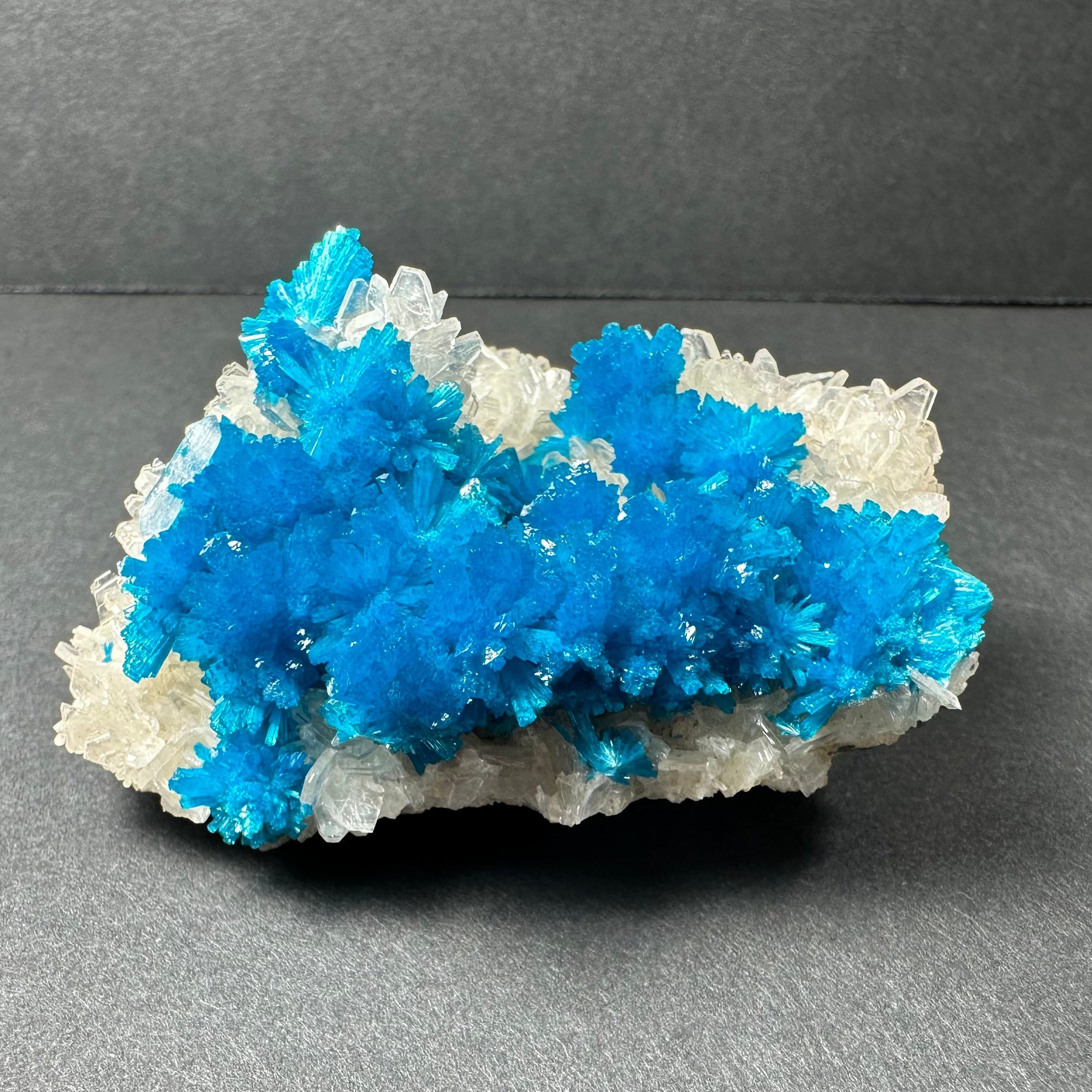 Cavansite with Stilbite on Matrix from Pune, Maharashtra, India by Rare Earth Gallery - main product image for Resin Society