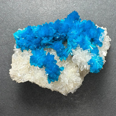 Cavansite with Stilbite on Matrix from Pune, Maharashtra, India by Rare Earth Gallery - product image 4 for Resin Society