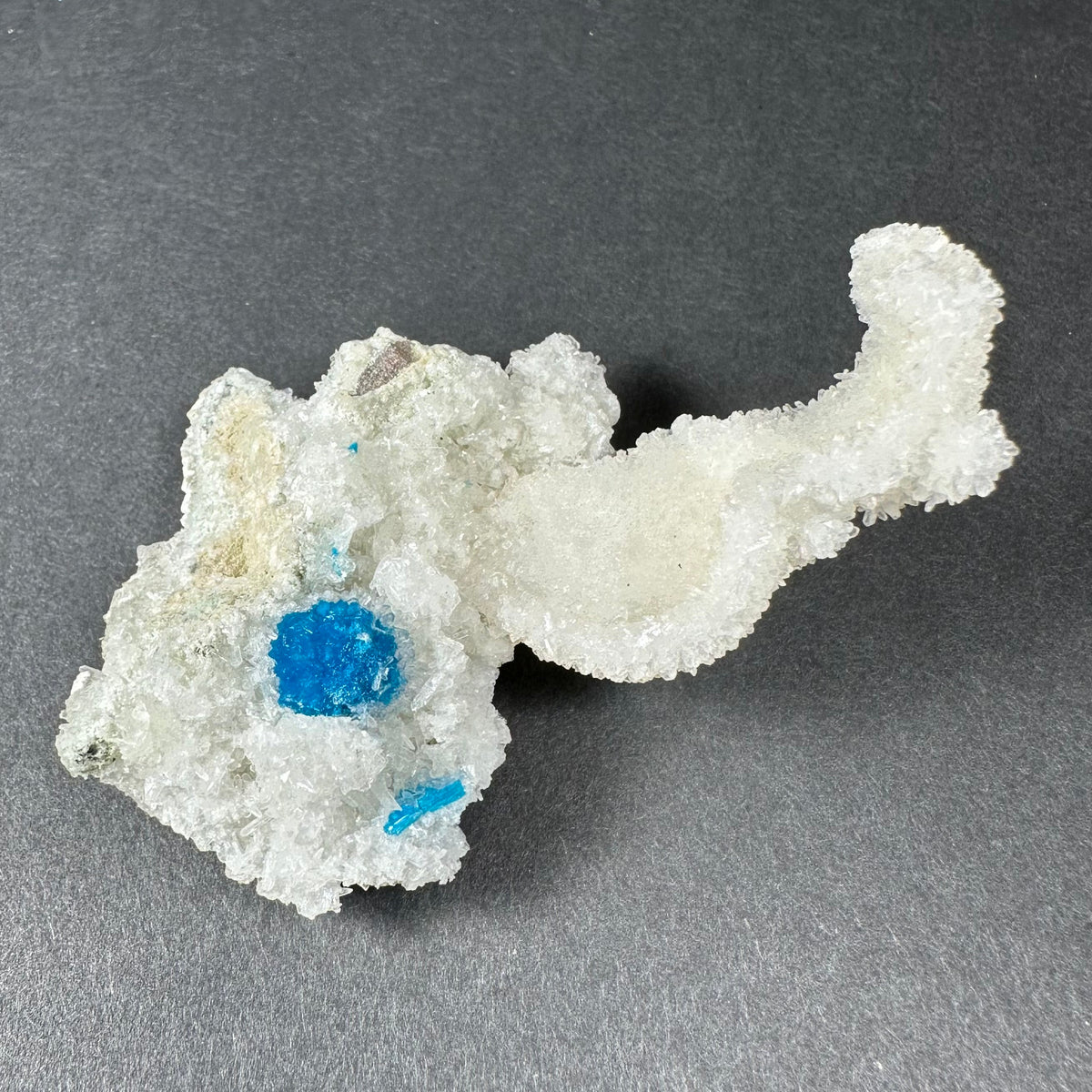 Irregular white stilbite crystal cluster with a bright blue cavansite ball embedded near one edge, shown against a dark gray background.