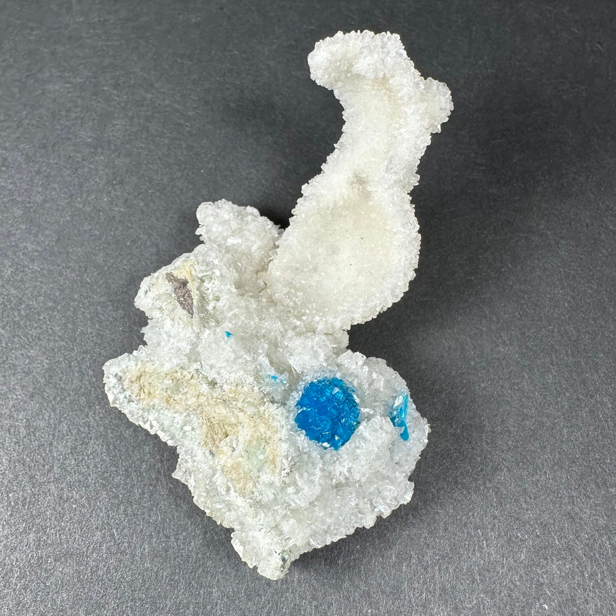 Bright blue cavansite crystal ball embedded in a textured white stilbite matrix with a curved, crystalline formation against a dark gray background.