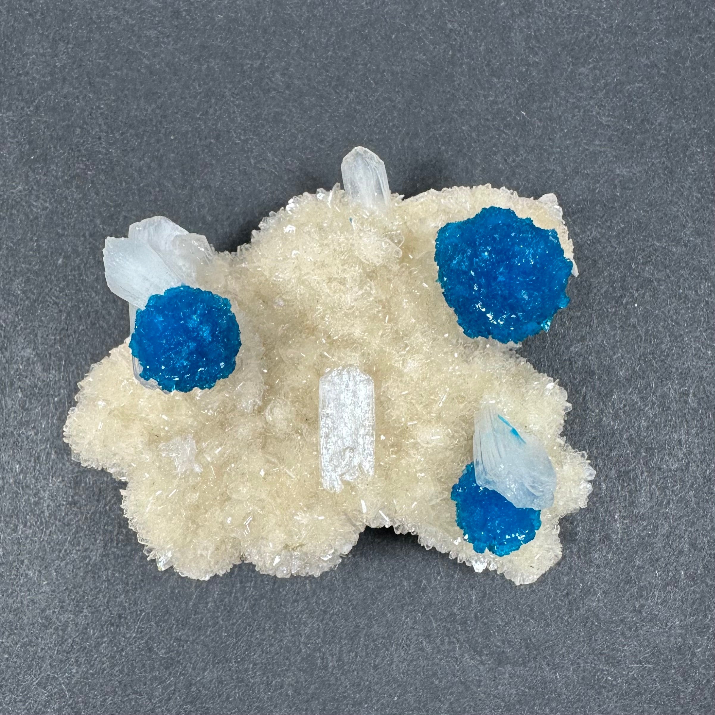 Cavansite on Stilbite Matrix from Maharashtra, Pune, India by Rare Earth Gallery - main product image for Resin Society