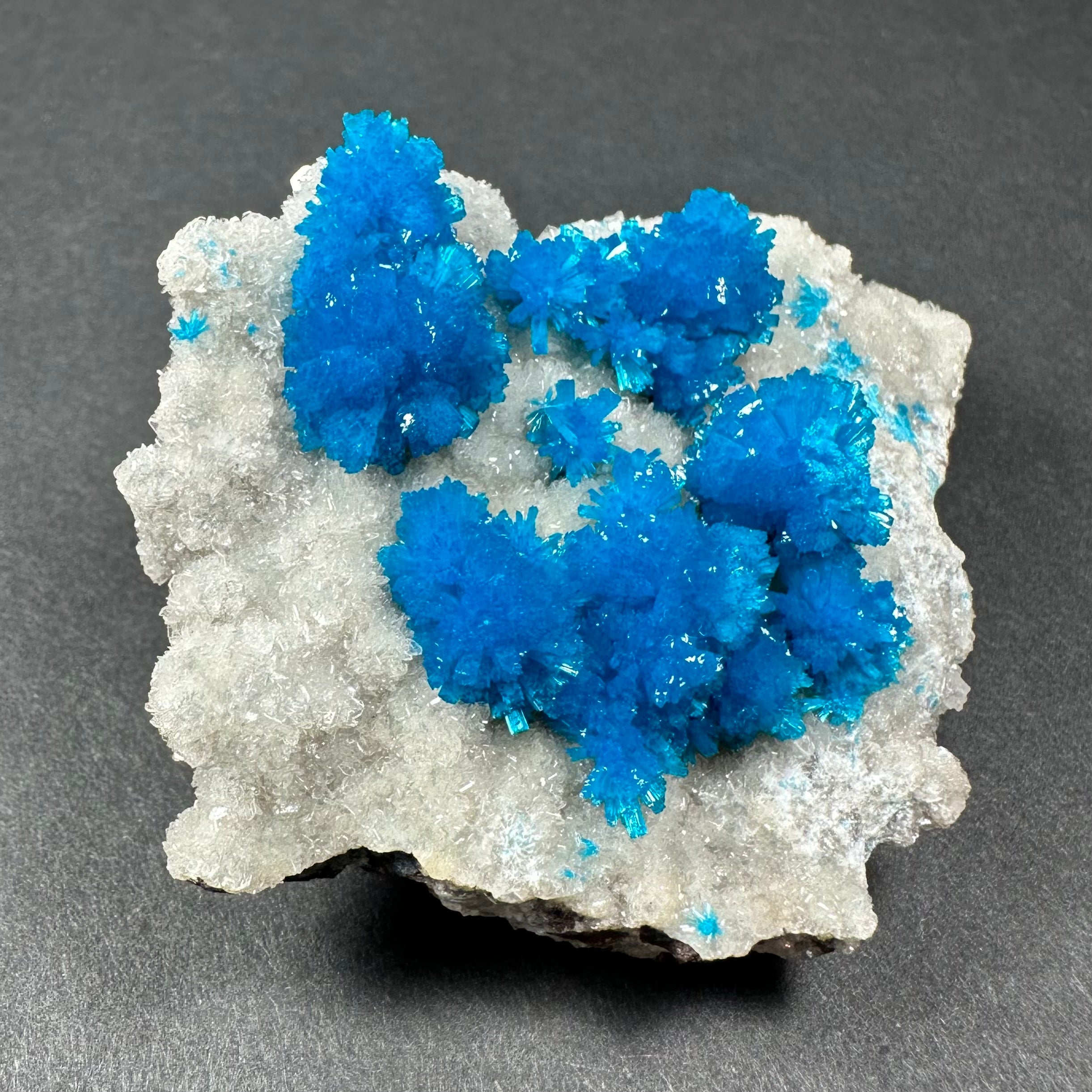 Cavansite with White Stilbite on Matrix Maharashtra, Pune, India by Rare Earth Gallery - main product image for Resin Society