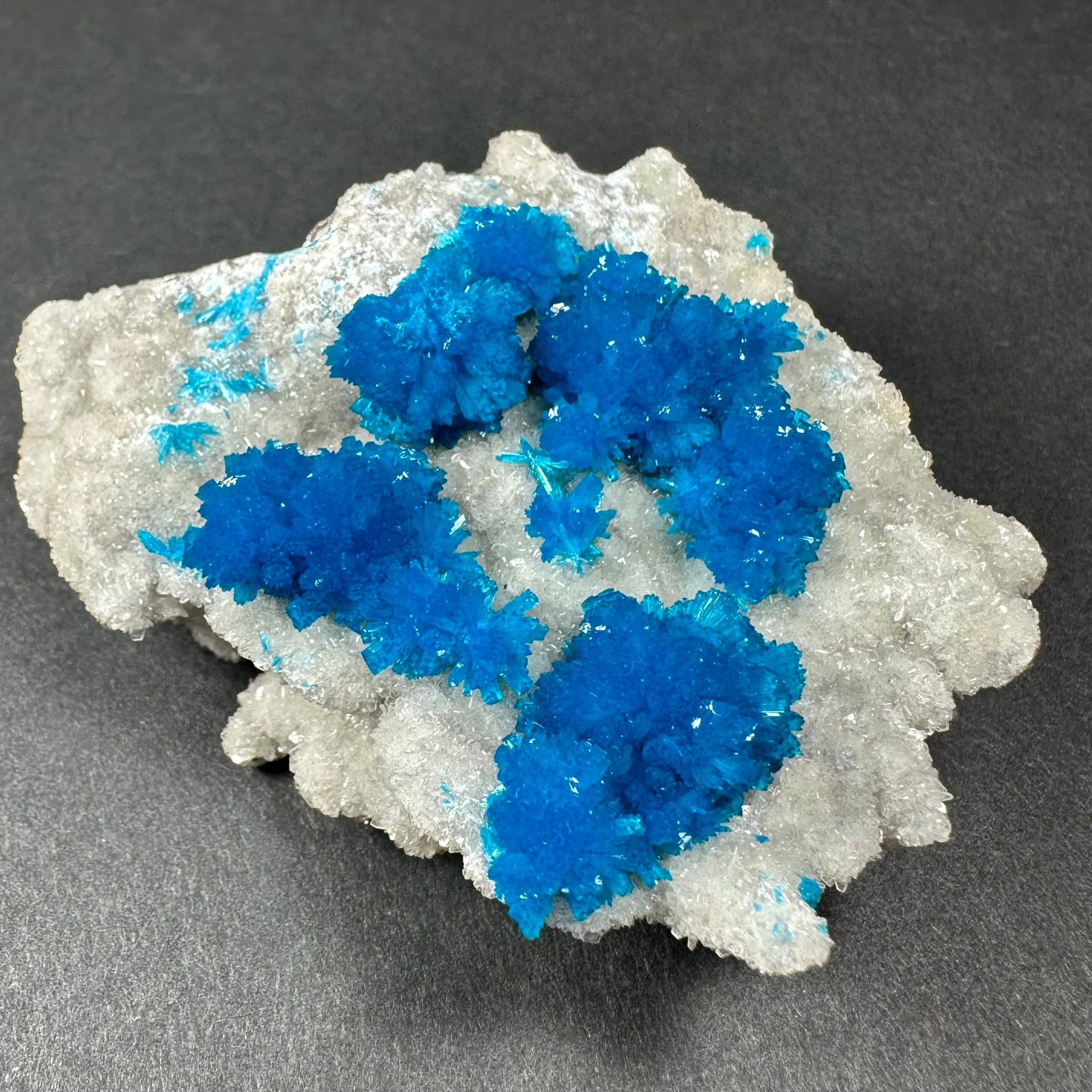 Cavansite with White Stilbite on Matrix Maharashtra, Pune, India by Rare Earth Gallery - product image 2 for Resin Society
