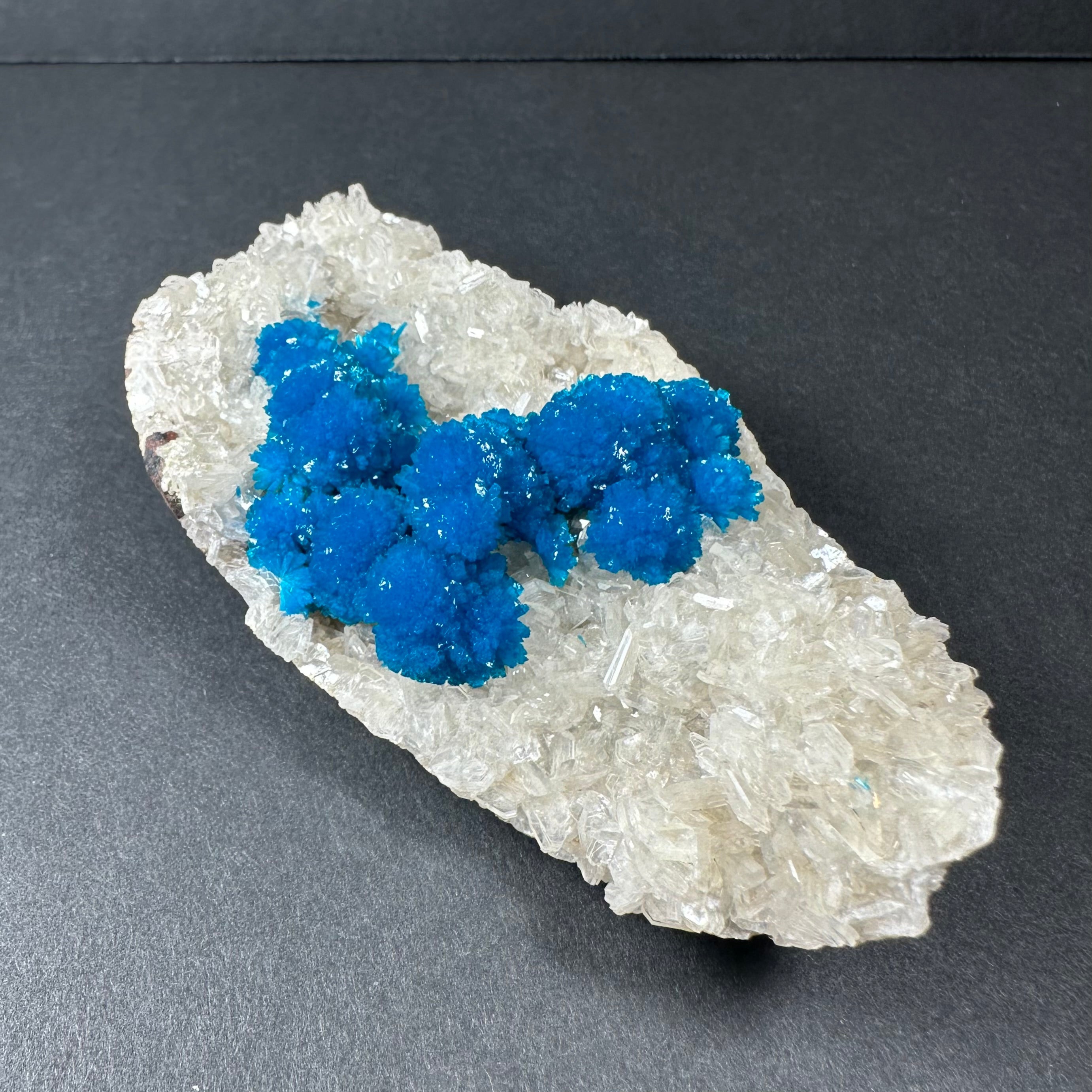 Cavansite with Stilbite on Matrix from Pune, India by Rare Earth Gallery - main product image for Resin Society