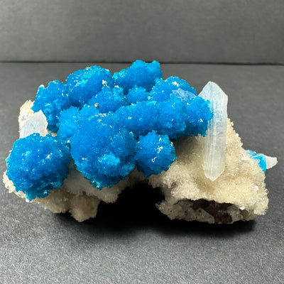 Cavansite with White Stilbite on Matrix from Maharashtra, Pune, India by Rare Earth Gallery - main product image for Resin Society