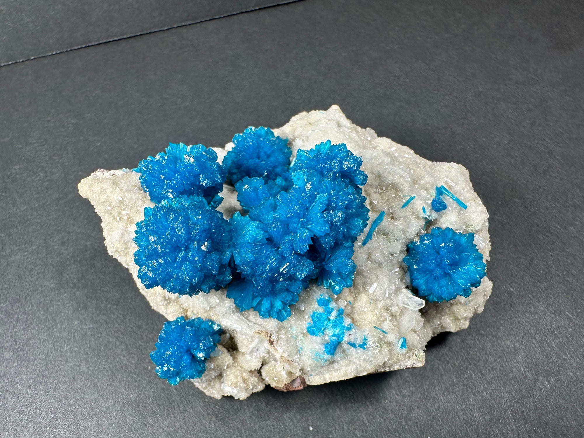 Cavansite with Stilbite on Matrix from Maharashtra, Pune, India by Rare Earth Gallery - main product image for Resin Society