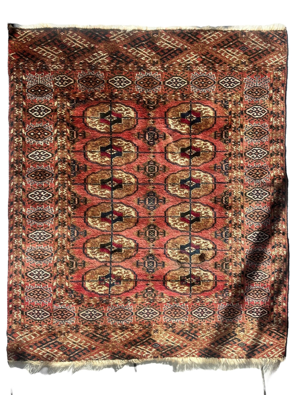 Vintage Tribal Turkoman Tekke Rug spread out displaying intricate tribal patterns in natural light