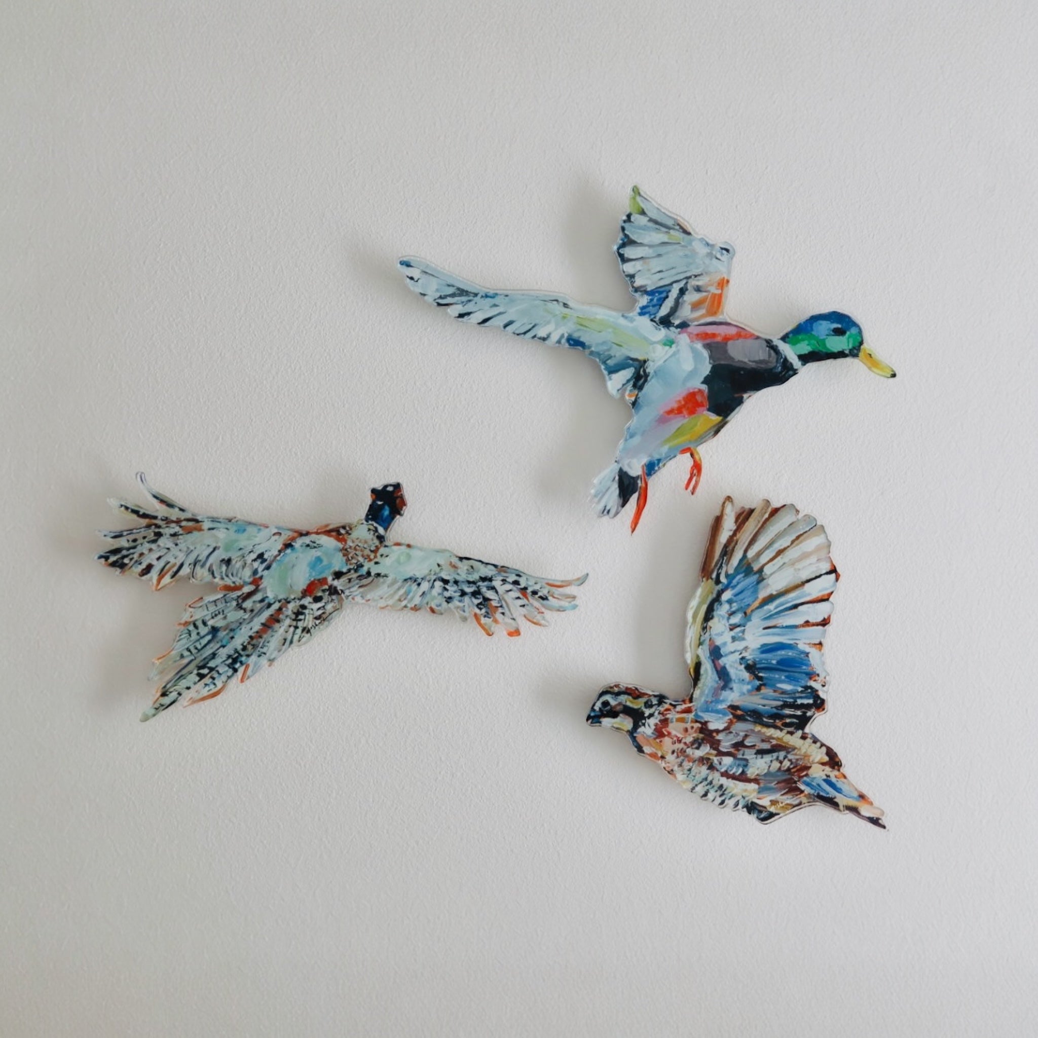 "Take Flight" Acrylic Wall Contour