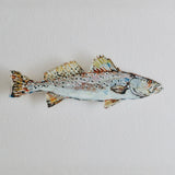 Acrylic wall contour artwork of a speckled sea trout, featuring colorful and detailed depiction on acrylic sheet