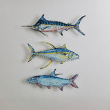 "Tuna" Acrylic Wall Contour