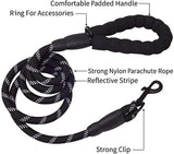 Black 6-foot dog leash with reflective white stripes, padded handle, accessory ring, and strong clip for medium and large dogs.