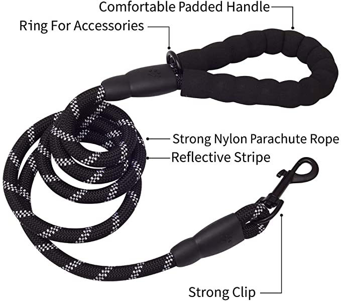Black 6-foot dog leash with reflective white stripes, padded handle, accessory ring, and strong clip for medium and large dogs.