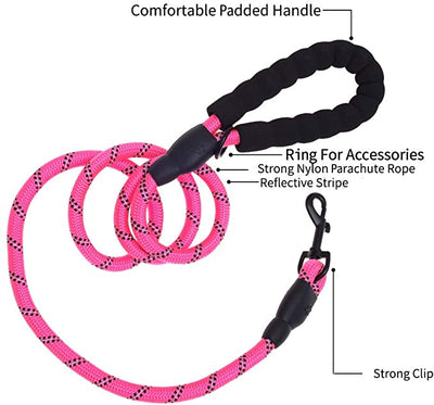 6 FT Dog Leash for Large and Medium Dogs-Pink Set of 5