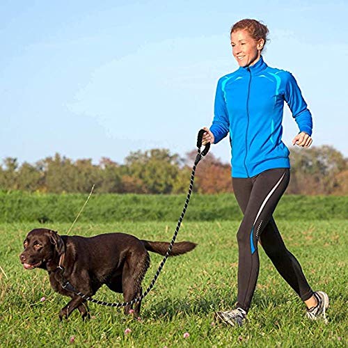 6 FT Dog Leash for Large and Medium Dogs-Purple Set of 5