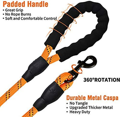 6 FT Dog Leash for Large and Medium Dogs-Orange Set of 5