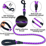 Purple dog leash made of high tensile climbing rope with reflective threads, padded handle, 360° swivel clip to prevent tangling, and industrially spliced ends.