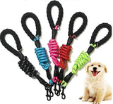 Five braided dog leashes in black, blue, pink, red, and green, each with a black loop handle and metal clip, arranged in a fan shape next to a smiling light brown puppy.