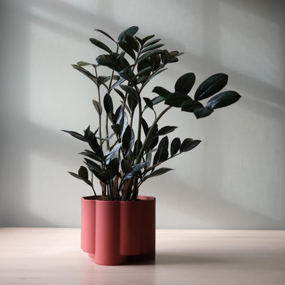 Pillar Planter by Misewell