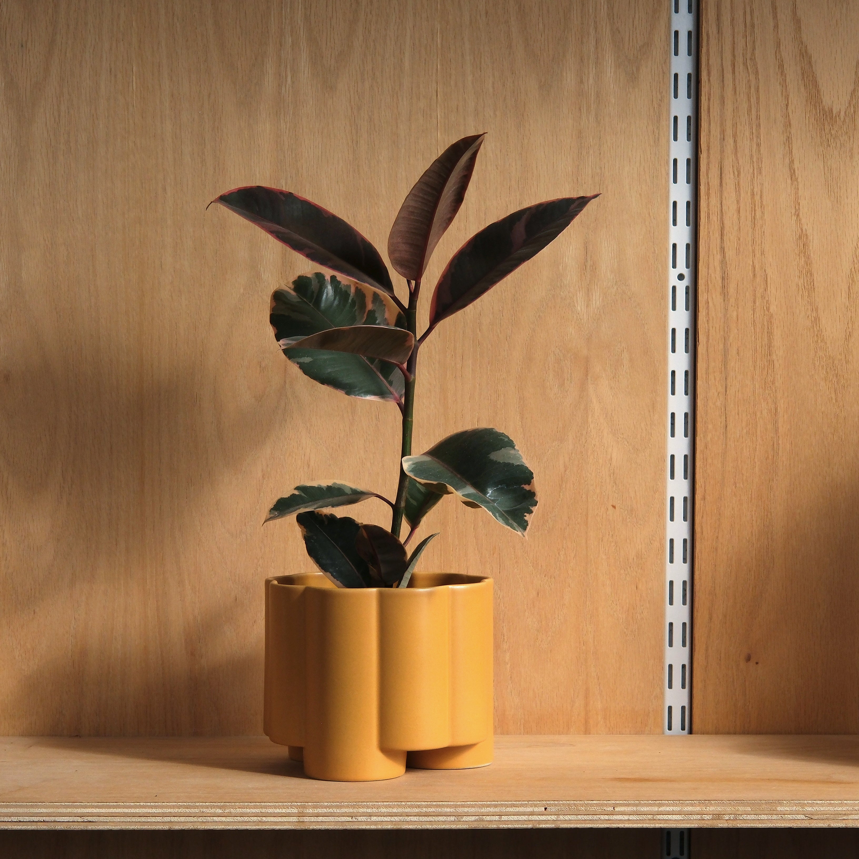 Fluted ceramic Pillar Planter in marigold color with legs elevating it off a wooden surface