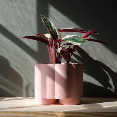 Pillar Planter by Misewell