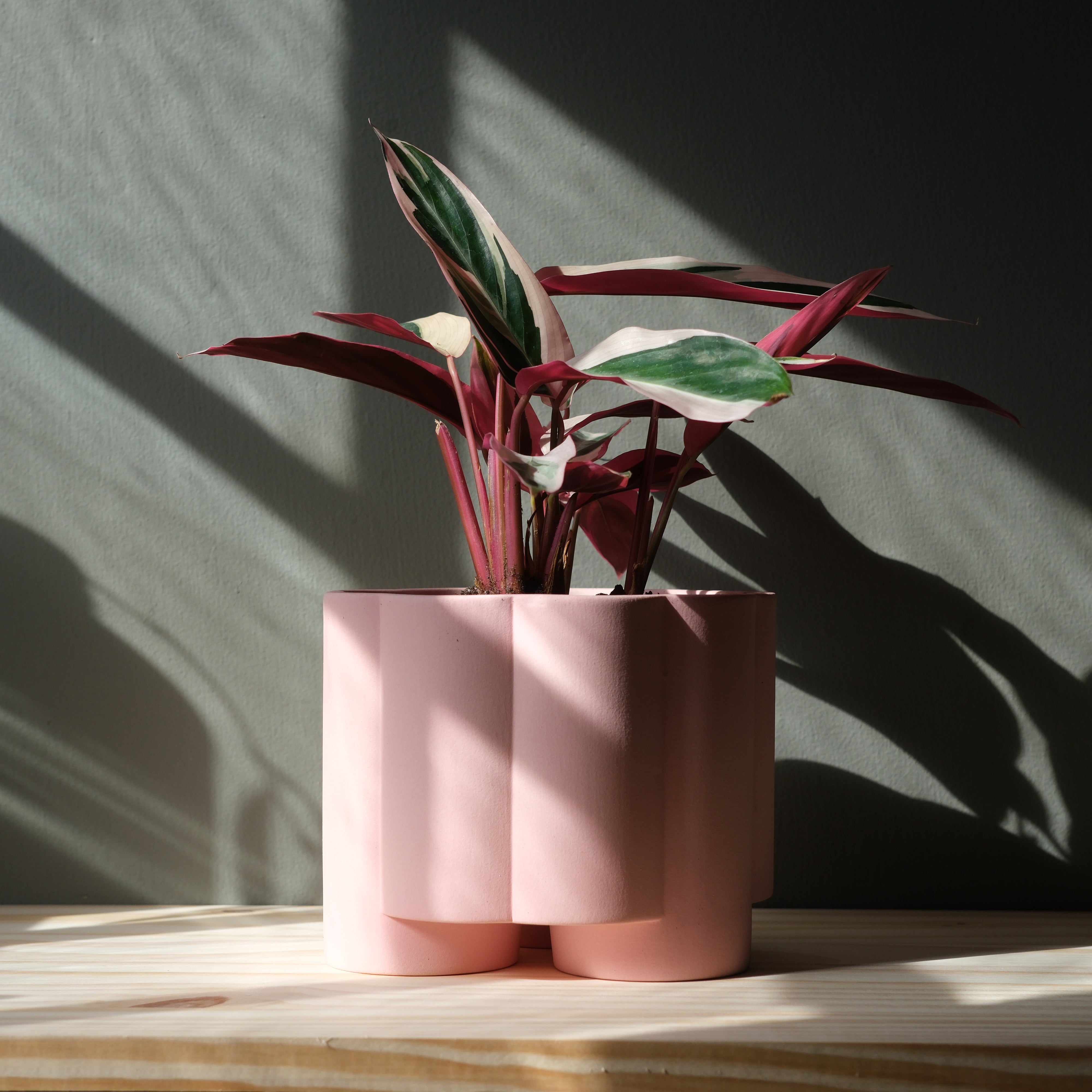 Pillar Planter by Misewell