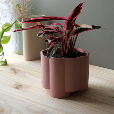 Pillar Planter by Misewell