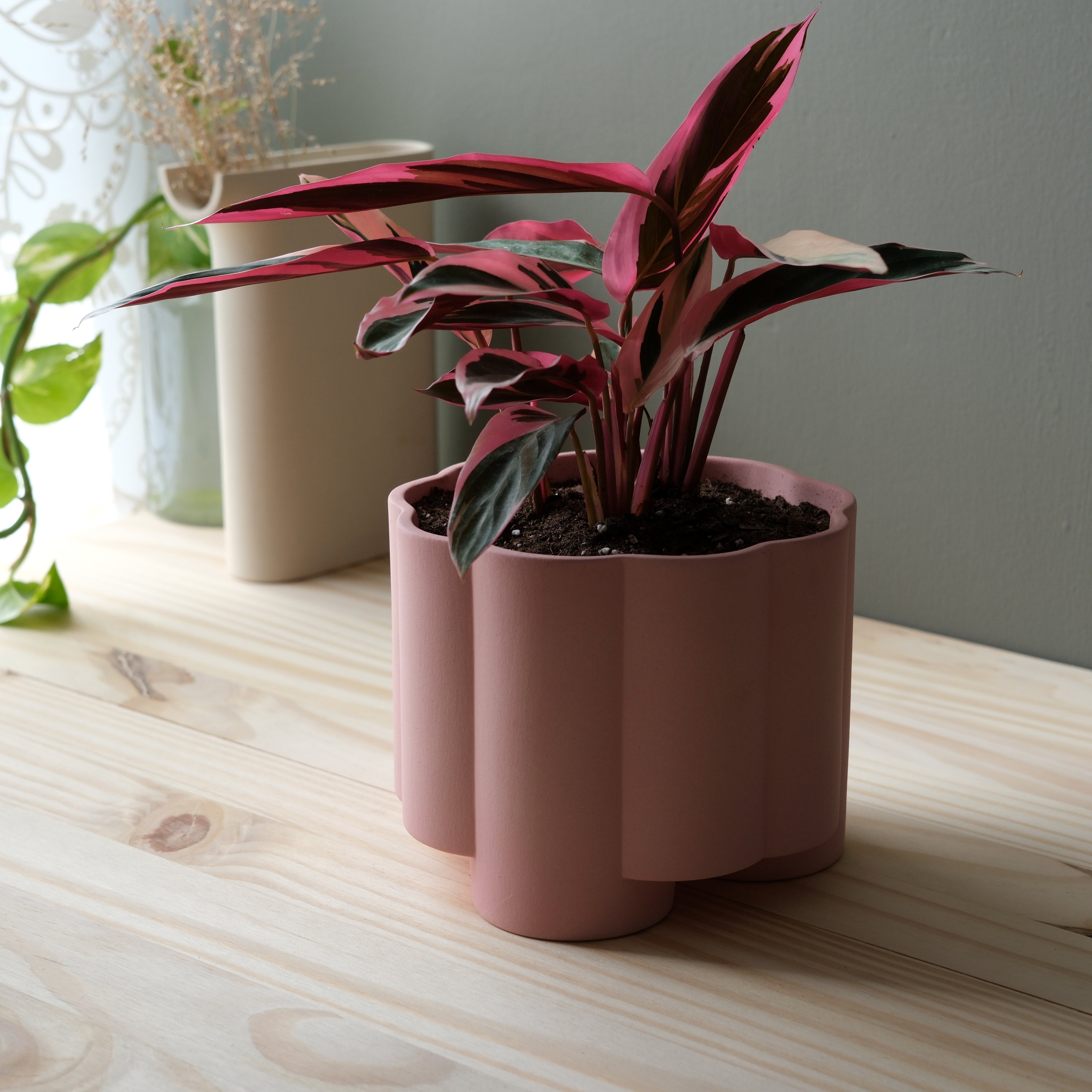 Pillar Planter by Misewell