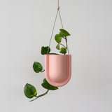 Matte pink U-shaped hanging planter with a green trailing plant against a plain white wall, suspended by natural twine cord.