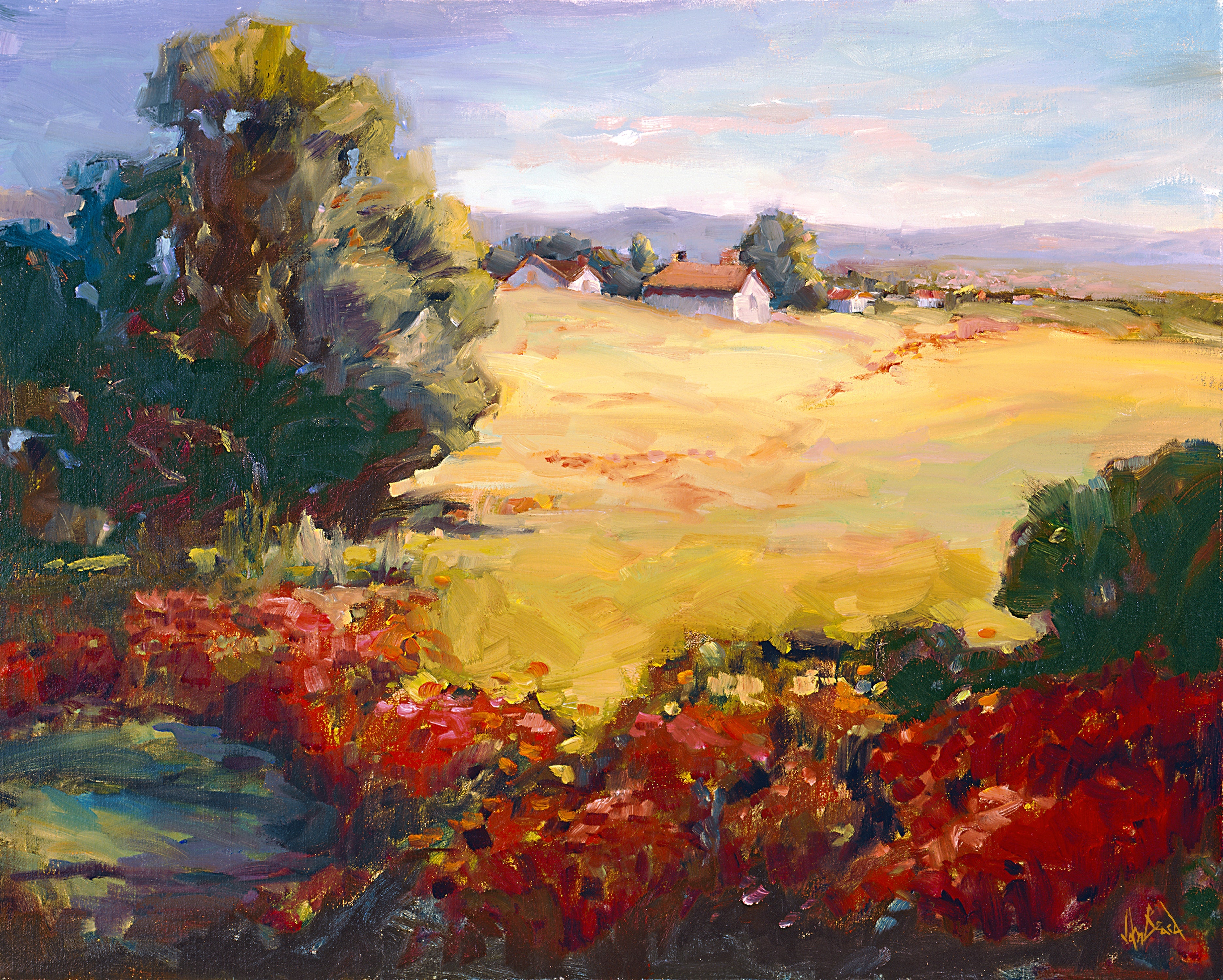 Poppy Fields Artist Enhanced Canvas Print by John Beard Collection - main product image for Resin Society